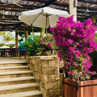 Byblos Travel Guide 2026: Top Attractions, Local Food & Travel
