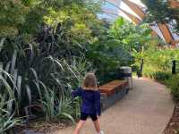 Crossrail Place Roof Garden 🌼
