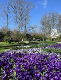 Useful tips for visiting Keukenhof Garden🌷