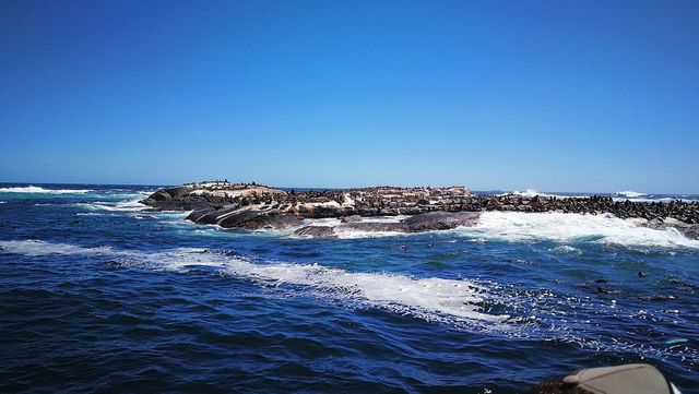 Cape Winelands Odyssey 🏞️