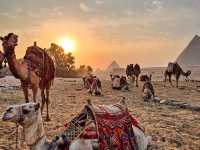 Camel ride in Giza Piramids Complex