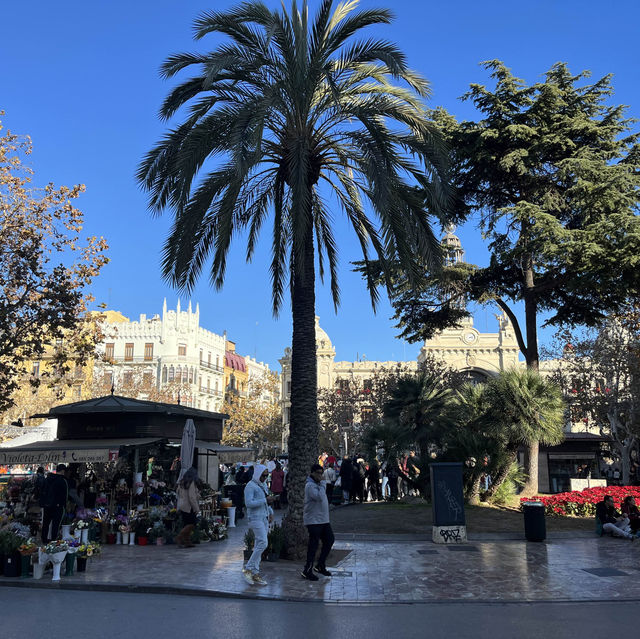 Beautiful Christmas in Valencia 🇪🇸