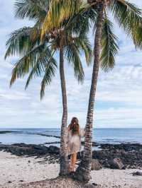  Fairmont Orchid - Hawaii