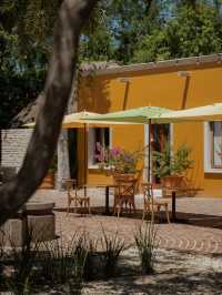 Andaz Mayakoba Resort Riviera Maya - A Concept by Hyatt