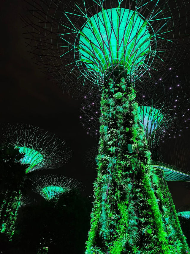 Garden by the bay Singapore 🇸🇬 