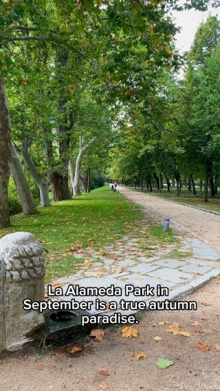 La Alameda’s Autumn Charm in September 🌳