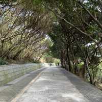 Taiwan’s mysterious stones: Yehliu Geopark