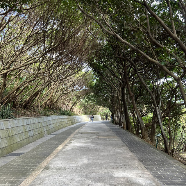 Taiwan’s mysterious stones: Yehliu Geopark