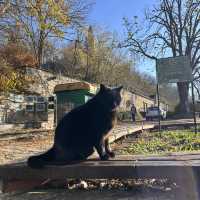 Bulgaria-Valiko Turnovo-Tsarevets Fortress