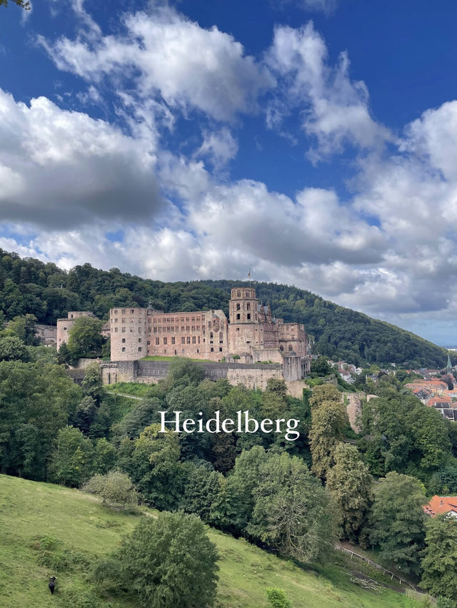 【ドイツ🇩🇪】ドイツ随一のロマンティックな古城、時を超える絶景へ！