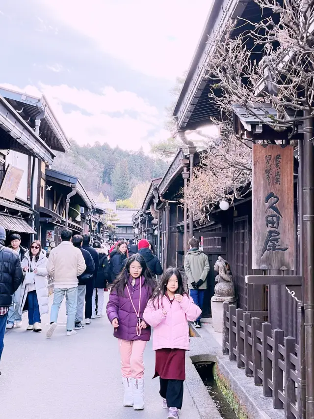 Day Trip from Tokyo to Takayama – A Journey to Old Japan