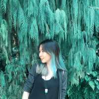 Gardens by the Bay: Singapore’s Futuristic Green Escape
