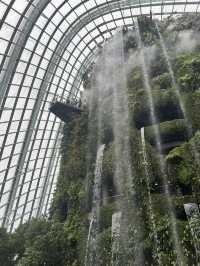 🌿✨ Cloud Forest Singapore: A Misty Wonderland in the Tropics
