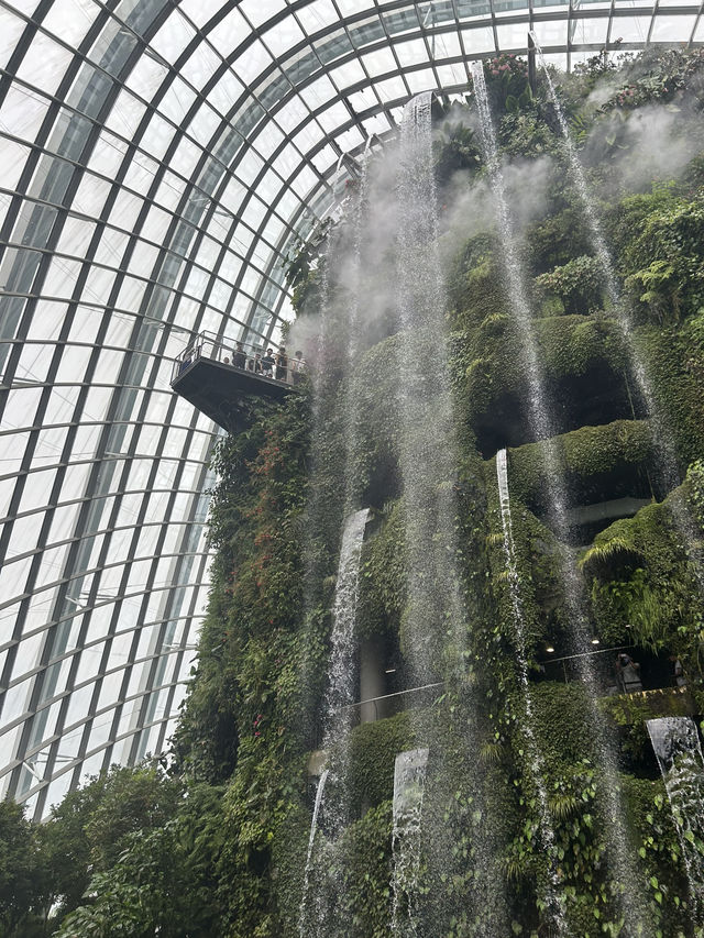 🌿✨ Cloud Forest Singapore: A Misty Wonderland in the Tropics