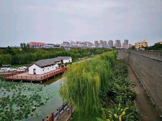 Echoes of History: A Travelogue of Daming, Handan