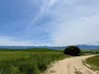 Craft, Culture, and Castilian Flavor