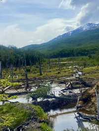 Culture, Glaciers & the End of the World