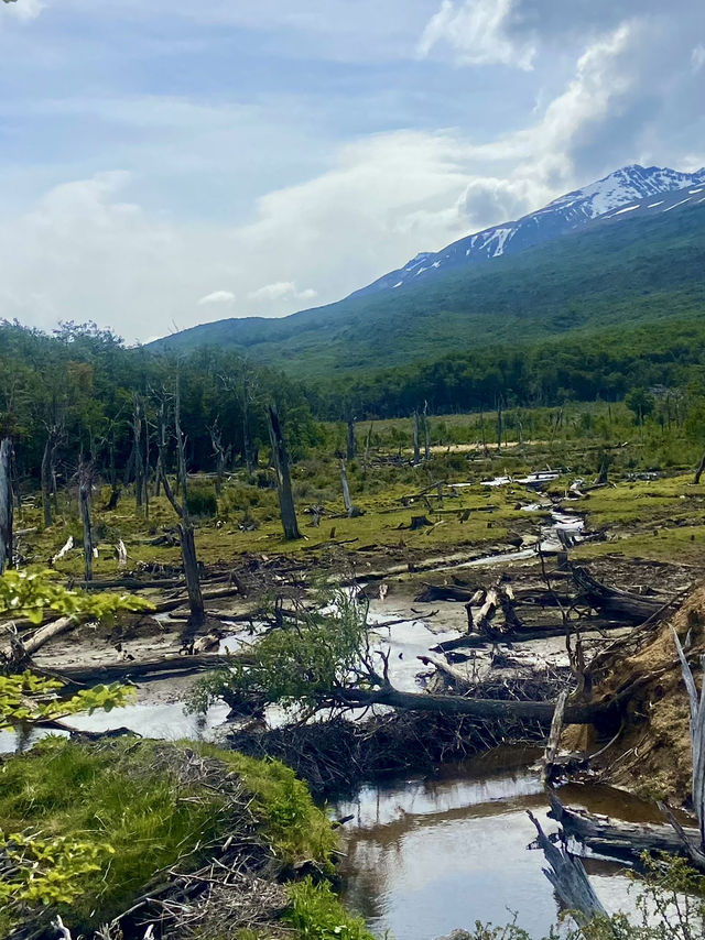 Culture, Glaciers & the End of the World
