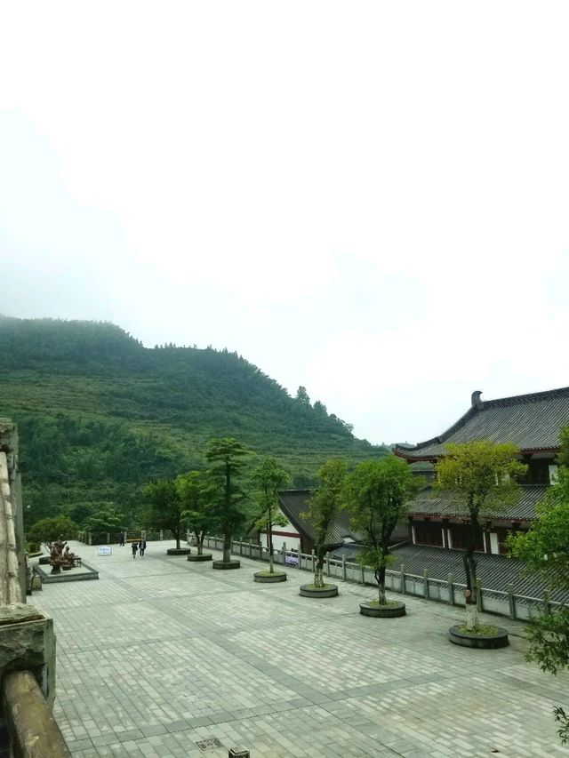 Wugongshan: Sea of Clouds & Alpine Dreams🏔🏞