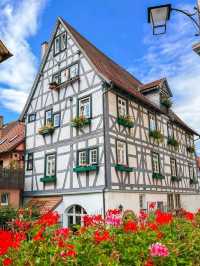 🏰 Bad Wimpfen: A Fairytale Town of Towers and Timbered Charm 🌿🇩🇪