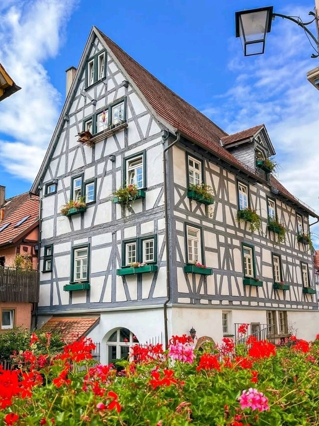 🏰 Bad Wimpfen: A Fairytale Town of Towers and Timbered Charm 🌿🇩🇪