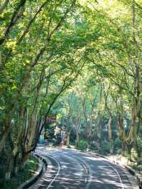 Nanjing: Where History Meets Modern Life