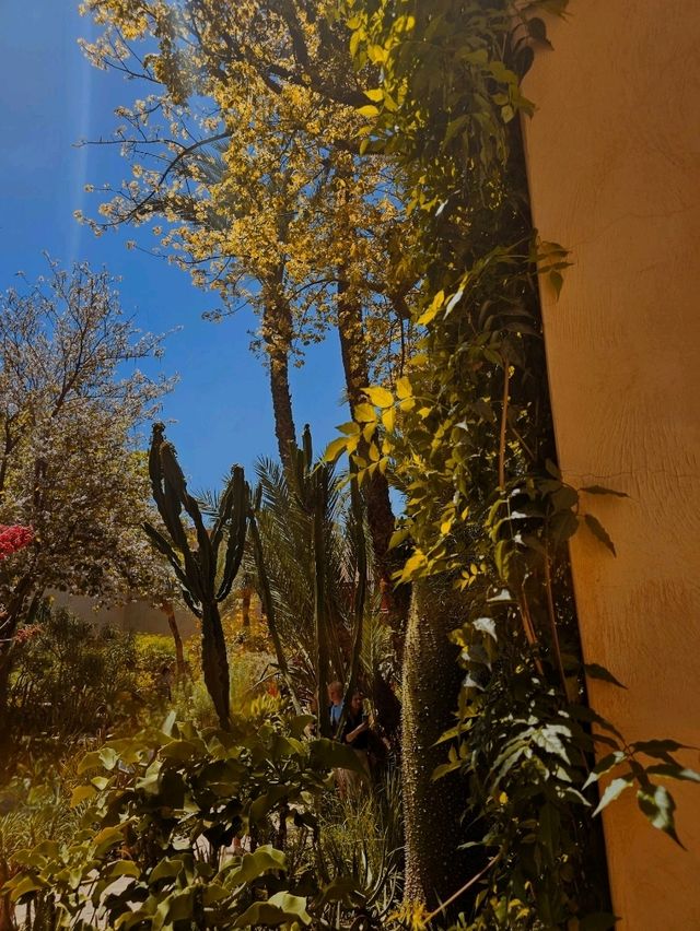 🌿 Le Jardin Secret – A Hidden Oasis in the Heart of Marrakech