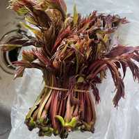 Kunming: A Floral and Culinary Paradise Where Spring Never Ends