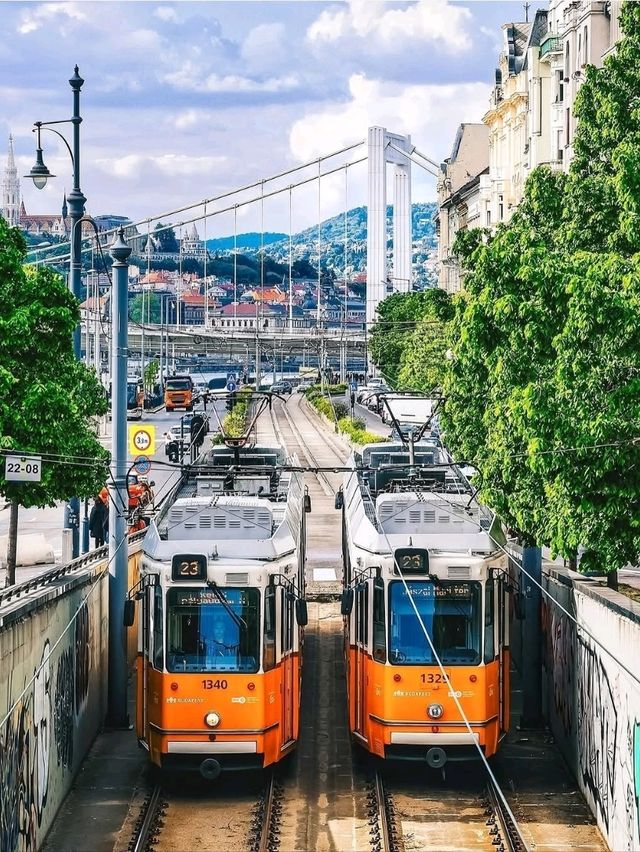 🌉👑 “Bridges, Baths & Baroque Dreams: A Royal Day in Budapest” 🇭🇺