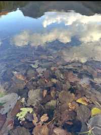 Buttermere Bliss & Cockermouth Charm – Finding Peace in the Lake District