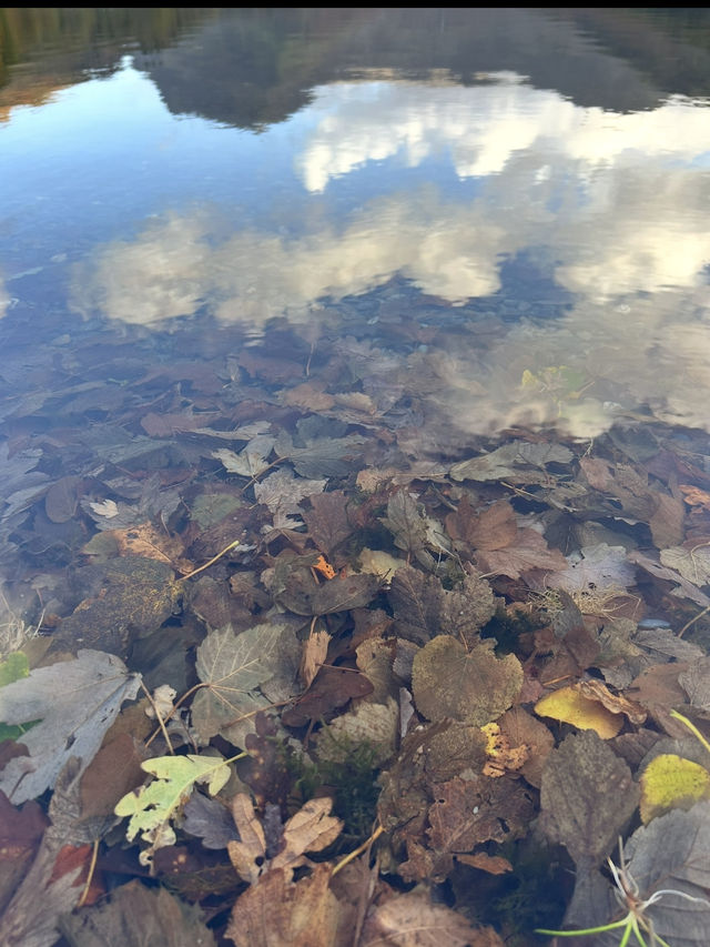 Buttermere Bliss & Cockermouth Charm – Finding Peace in the Lake District