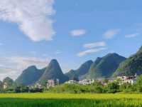 🌿 Guilin’s Timeless Charm: Karst Peaks & Golden Fields