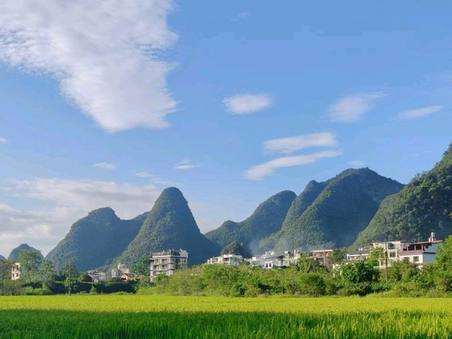 🌿 Guilin’s Timeless Charm: Karst Peaks & Golden Fields