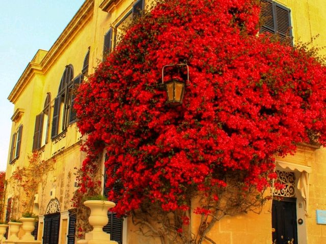 ✨Mdina: Malta’s Silent City of Golden Stone 🌙🏰