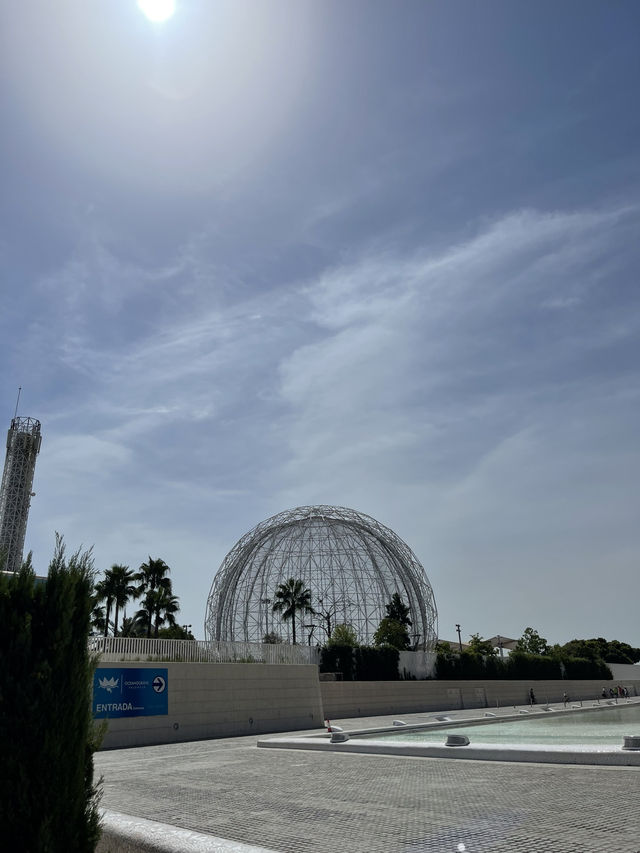 Ciudad de las Artes: Futuristic Beauty in Valencia ✨🏛️🌊