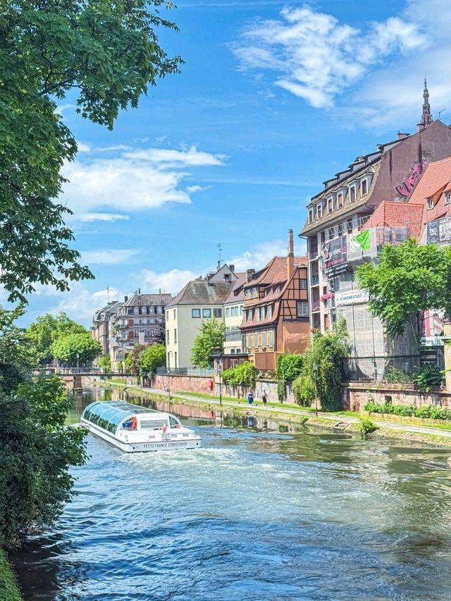 Enchanted Halloween Magic in Strasbourg! 🧙‍♀️✨