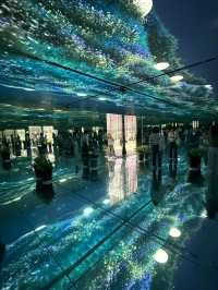 Flower Dreamscape🌸