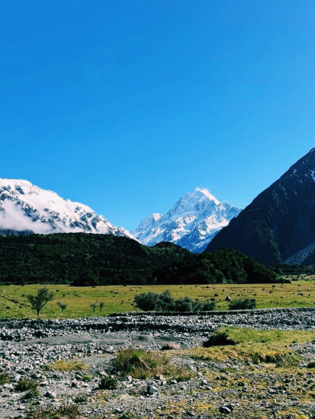 南島の頂きと星空に包まれる時間⛰️