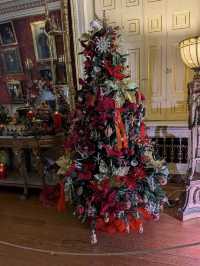 My visit to Harewood House Trust