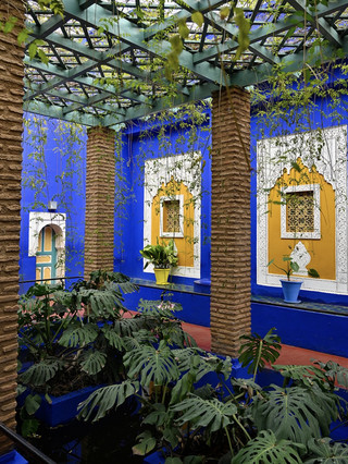 Jardin Majorelle Marrakech 🌿💙