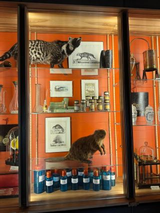 Perfume Museum