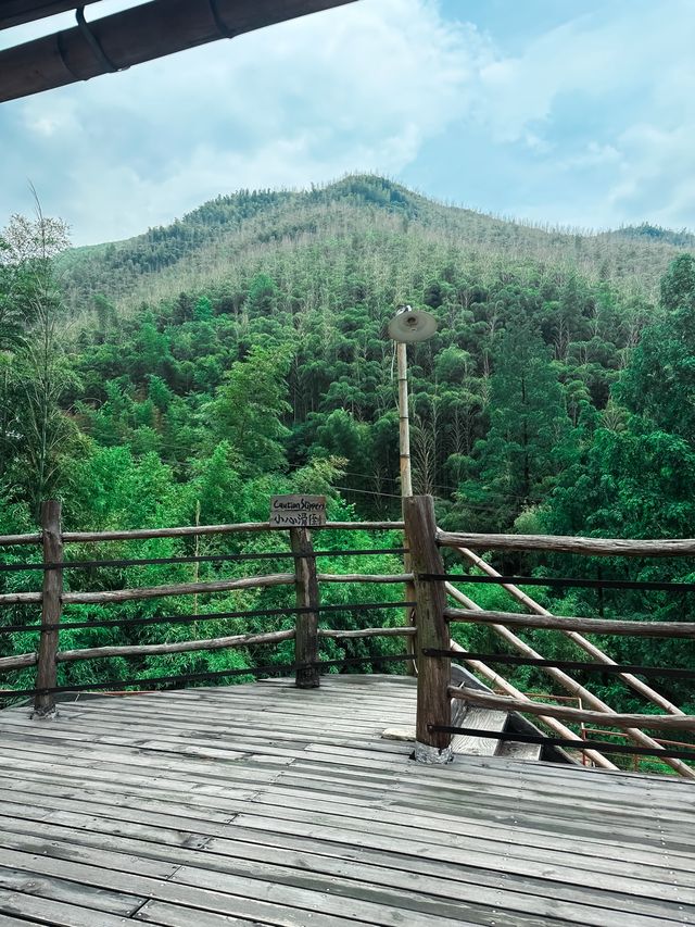 Moganshan, Zhejiang🌿🏔️🎋