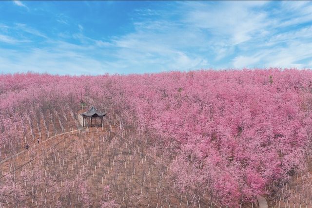 Japan - Fukuoka