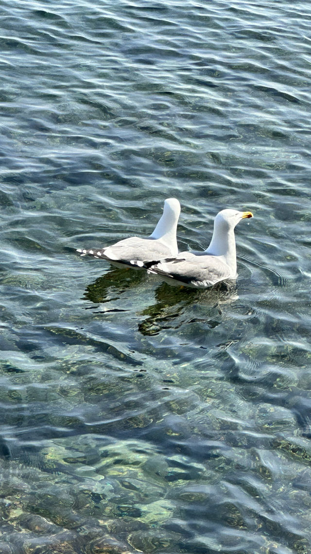 Cadaques (Cadaqués is located on the Cap de Creus coast.