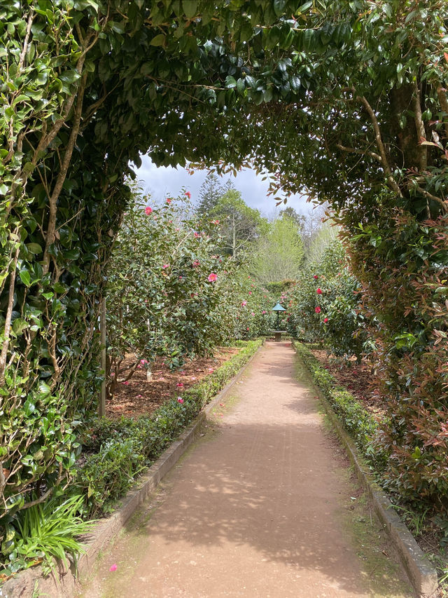 Beautiful hot spring town Furnas