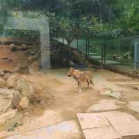 Animals, Rides, and Scenic Beauty: Yantai