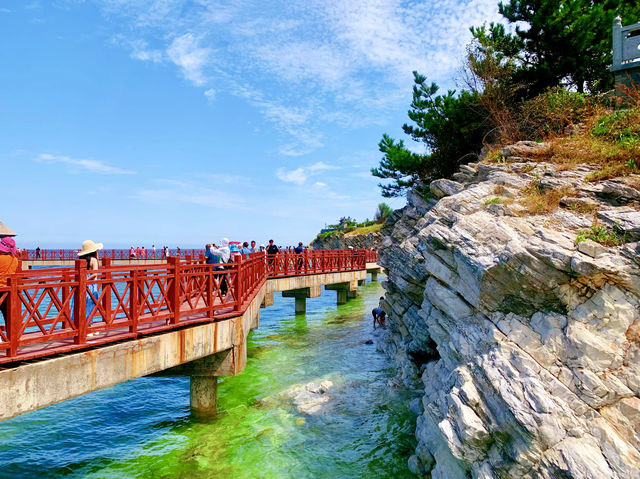 煙台的養馬島，超級迷人的寶藏海島