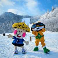 Family Fun on the Slopes of Hokkaido!