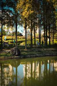 福州閩江公園南園賞秋正當時