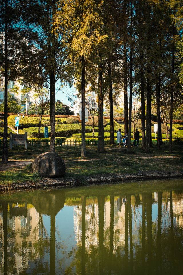 福州閩江公園南園賞秋正當時